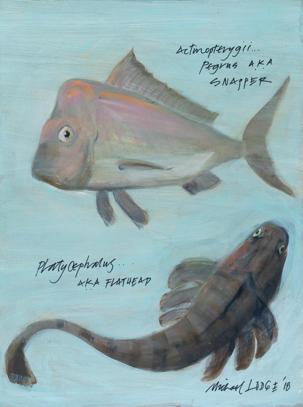 michael lodge australian snapper and flathead oil on canvas ready to hang 61 x 46cm · Lawsons · 2025-07-06 Michael Lodge comparable auction result: michael lodge australian snapper and flathead oil on canvas ready to hang 61 x 46cm
