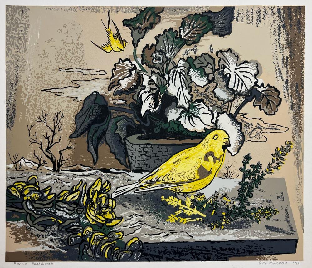 Guy Maccoy comparable auction result: guy maccoy wild canary