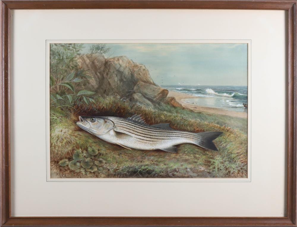 Samuel A. Kilbourne comparable auction result: samuel a kilbourne watercolor gouache on paper striped bass