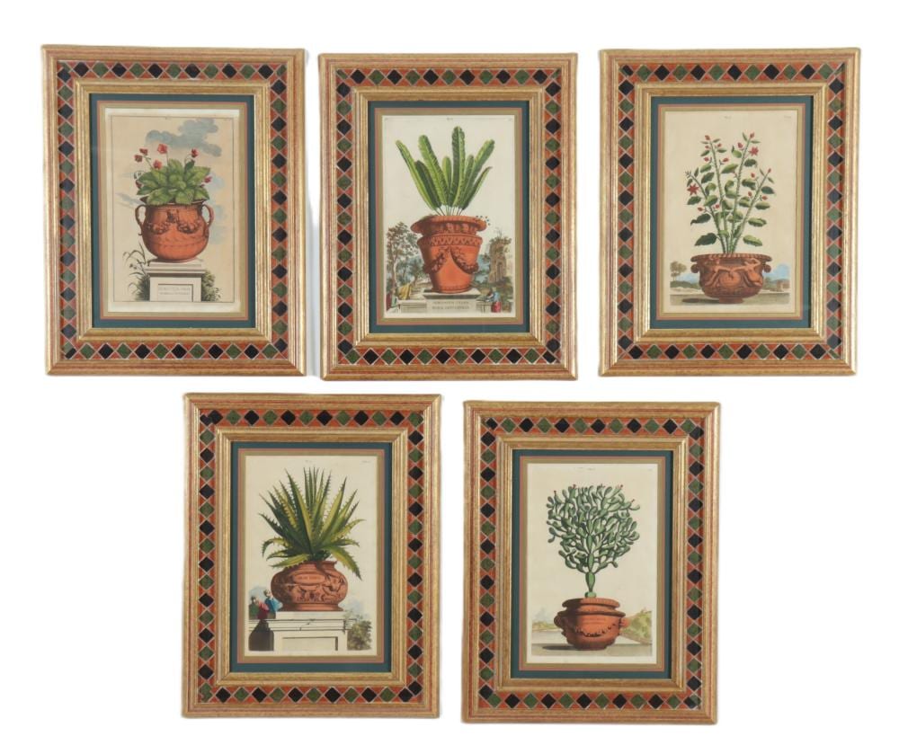 Abraham Munting comparable auction result: abraham munting botanical prints