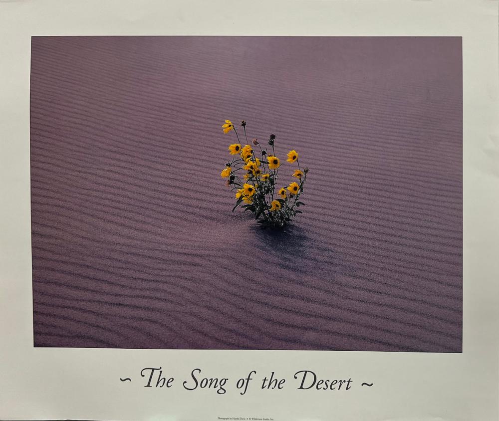 Harold Davis comparable auction result: harold davis the song of the desert