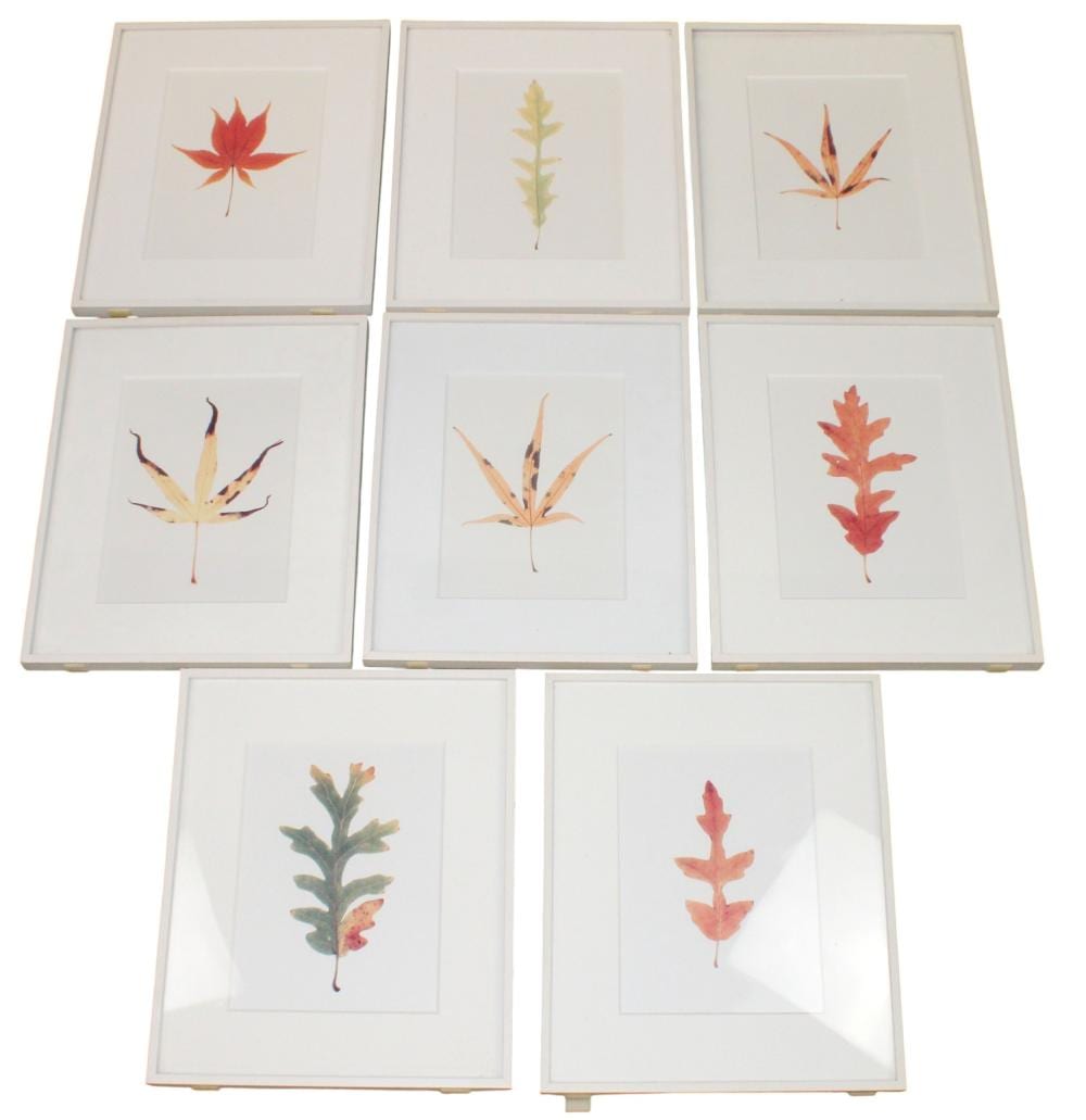 Garry Fabian Miller comparable auction result: lot of 8 garry fabian miller leaf light dyed prints