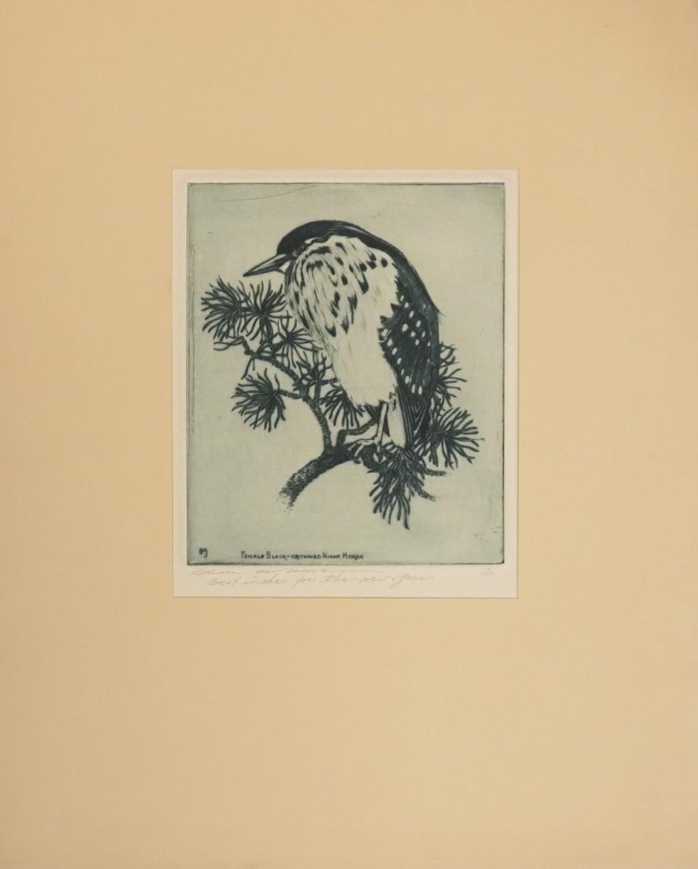 Benson Bond Moore comparable auction result: benson bond moore american 1882 1974 female black crowned night heron etching signed and numbered 16 100 unframed 13 1 2 x 11 in 34 3 x 27 9 cm