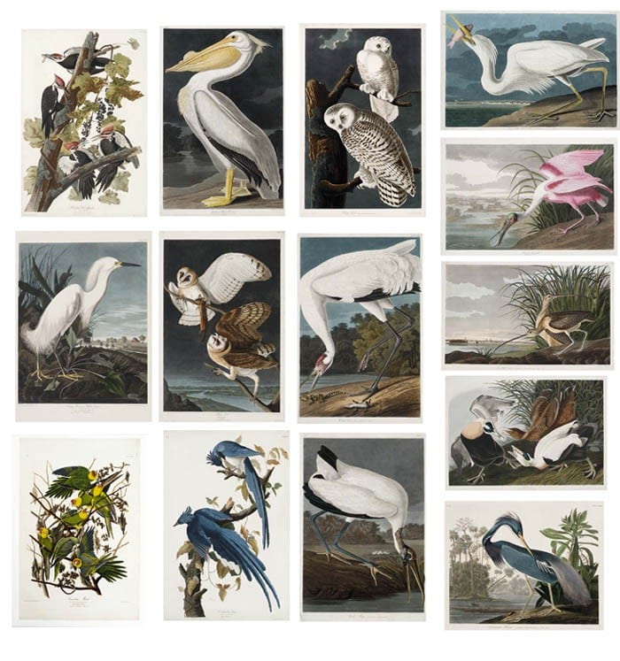 AUDUBON, John James (1785-1851). The Birds of America; from Original Drawings. London: comparable sale