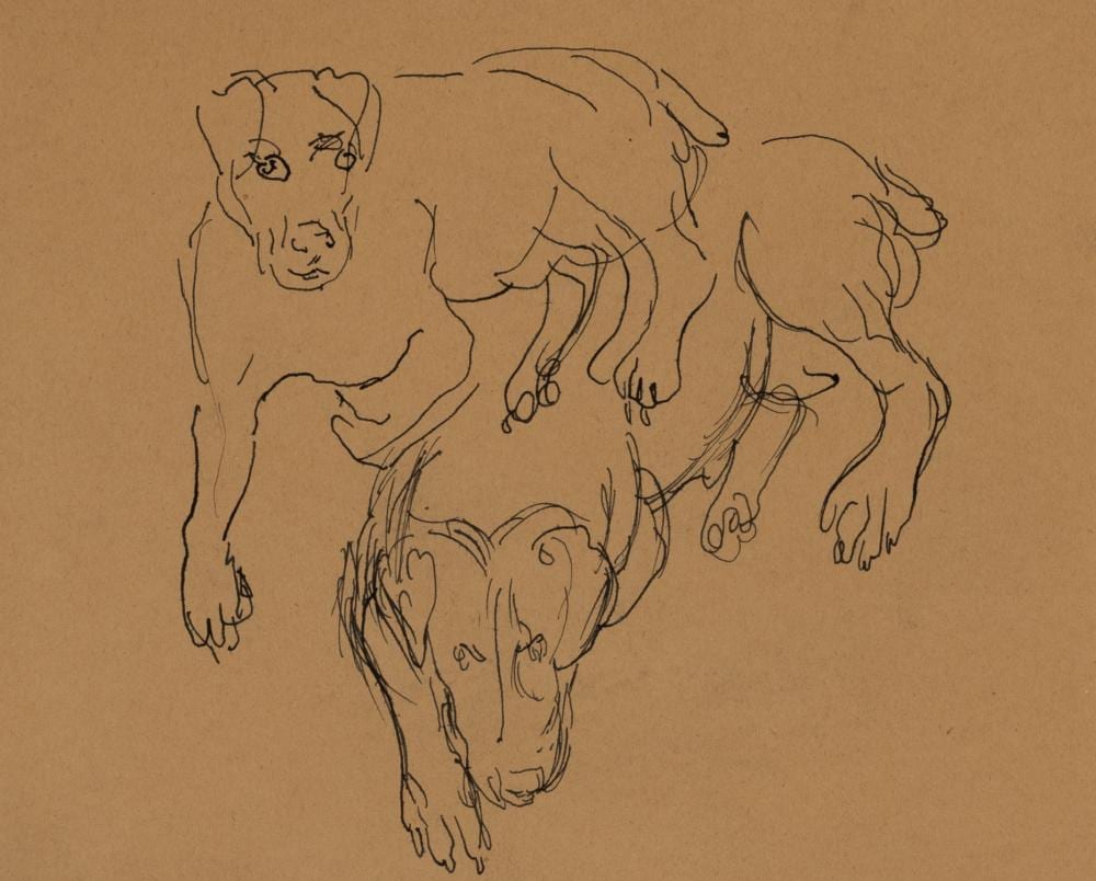 Sybil Craig comparable auction result: sybil craig 1901 1989 study of a dog