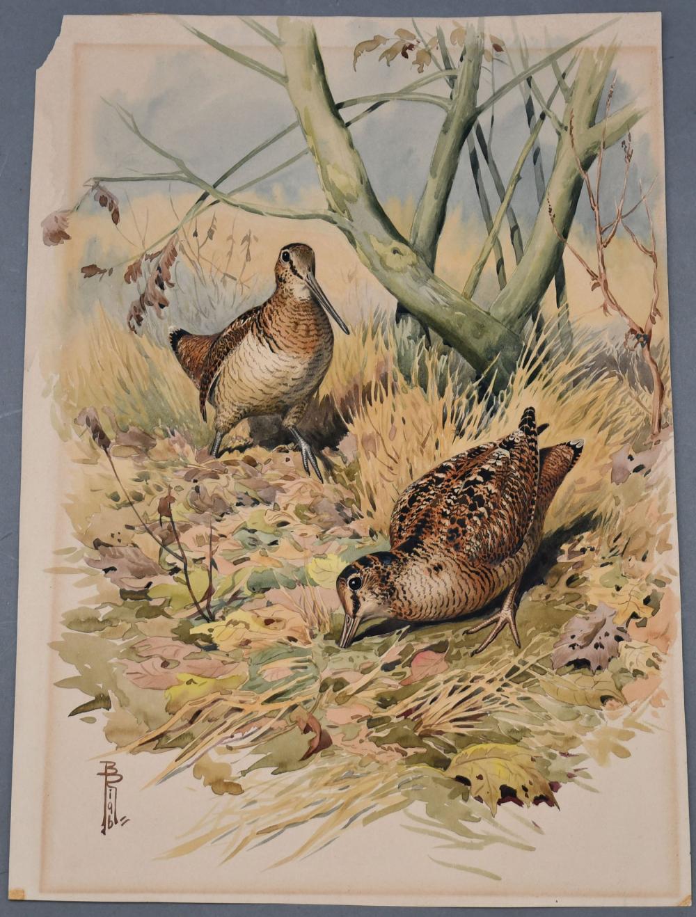 boris riab french russian 1898 1975 2 ruffed grouse looking for lunch signed lower left b riab watercolor on paper 19 1 2 x 14 1 4 · Bill Hood & Sons Arts & Antiques Auctions · 2025-09-02 Boris Riab comparable auction result: boris riab french russian 1898 1975 2 ruffed grouse looking for lunch signed lower left b riab watercolor on paper 19 1 2 x 14 1 4