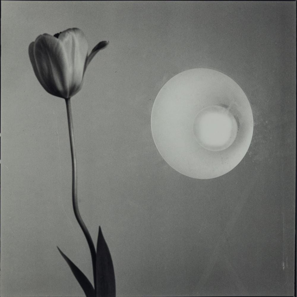 Toni Catany comparable auction result: toni catany 1942 2014 la tulipa i el faro 1981