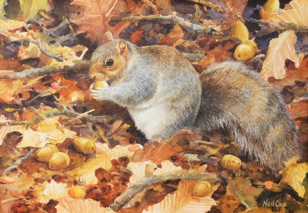 Neil Cox comparable auction result: neil cox b 1955 squirrel in autumn leaves