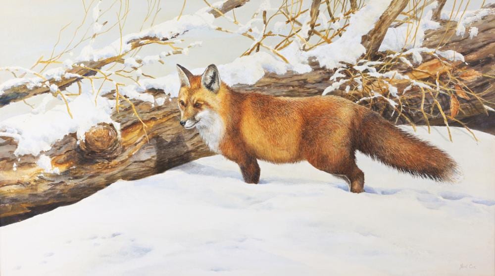 Neil Cox comparable auction result: neil cox b 1955 red fox in snowy landscape