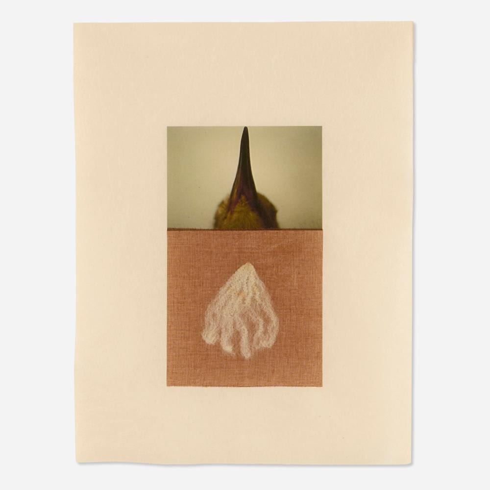 Ann Hamilton comparable auction result: ann hamilton seam