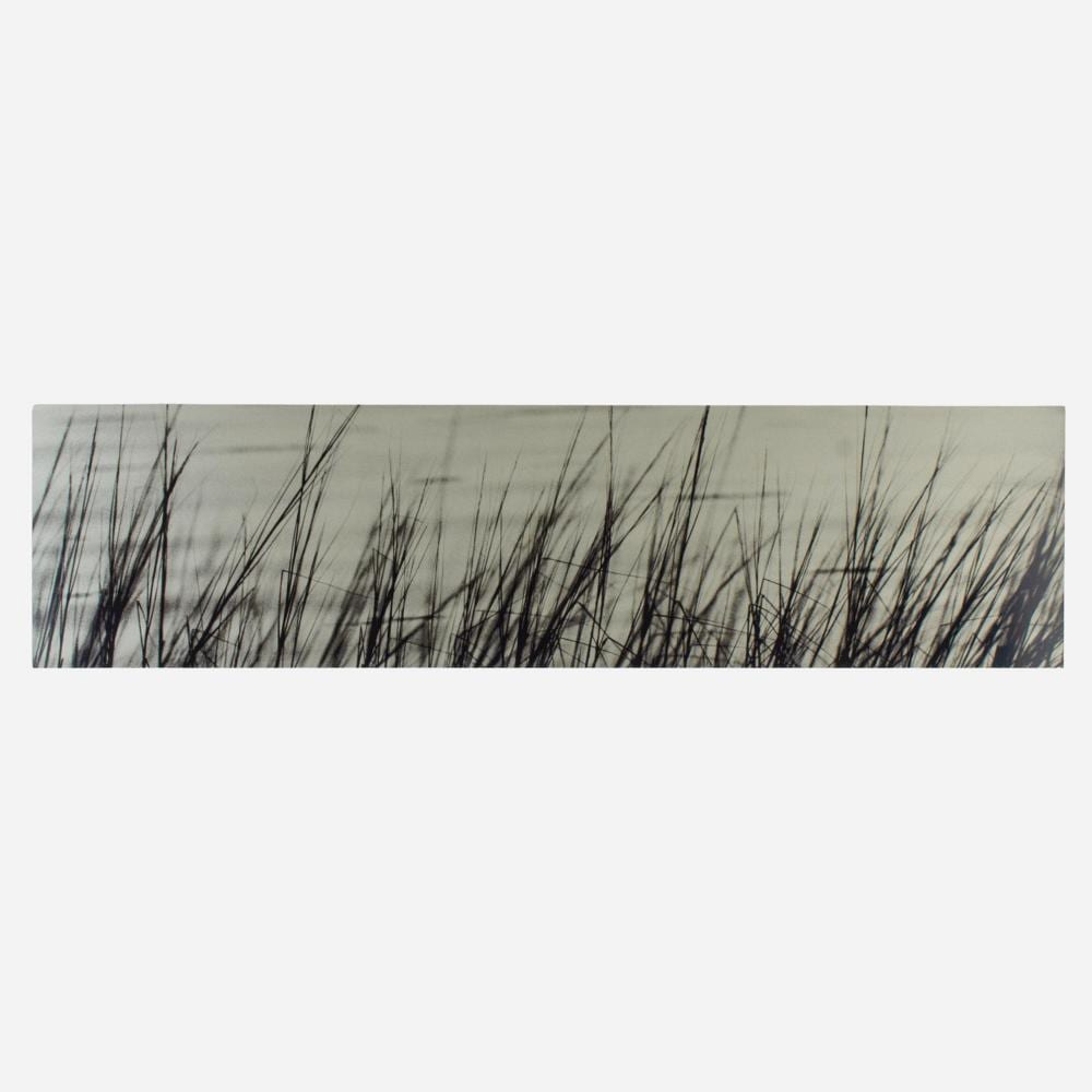 ray charles white deep creek grasses · District Auction · 2025-08-10 Ray Charles White comparable auction result: ray charles white deep creek grasses