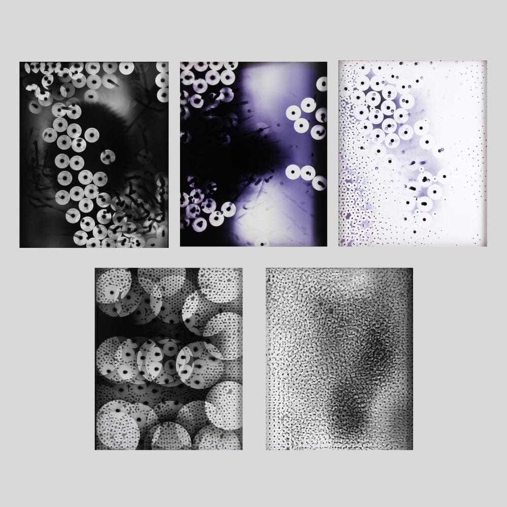 Ellen Carey comparable auction result: ellen carey untitled 5 piece group of photographs