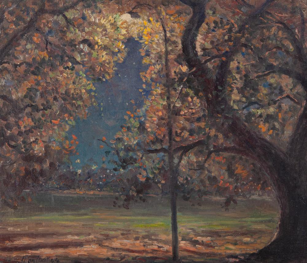 Auction comp thumbnail for ALLON COOK - PERTH ESPLANADE NOCTURNE - OIL ON BOARD (GFL Fine Art, Lot 7)