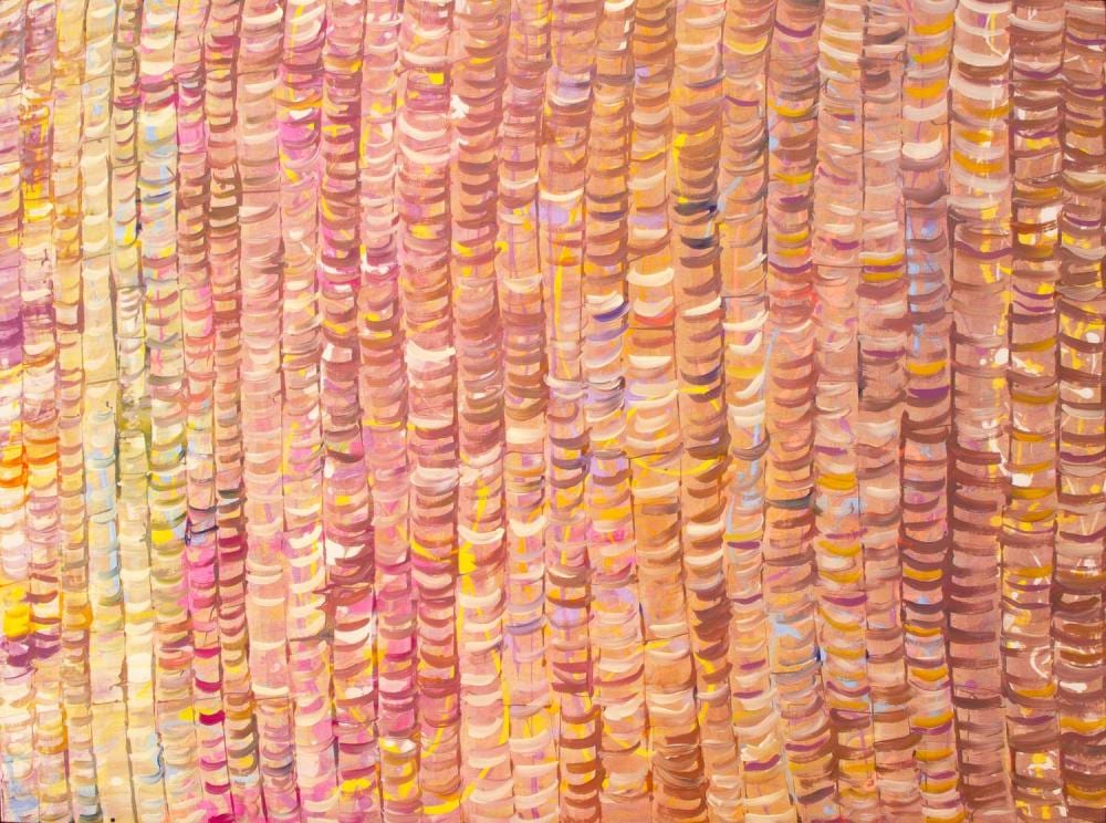 Robby WIRRAMANDA comparable auction result: robby wirramanda colours of direl large salt lake on grandmother s country acrylic on linen 147cm x 197cm