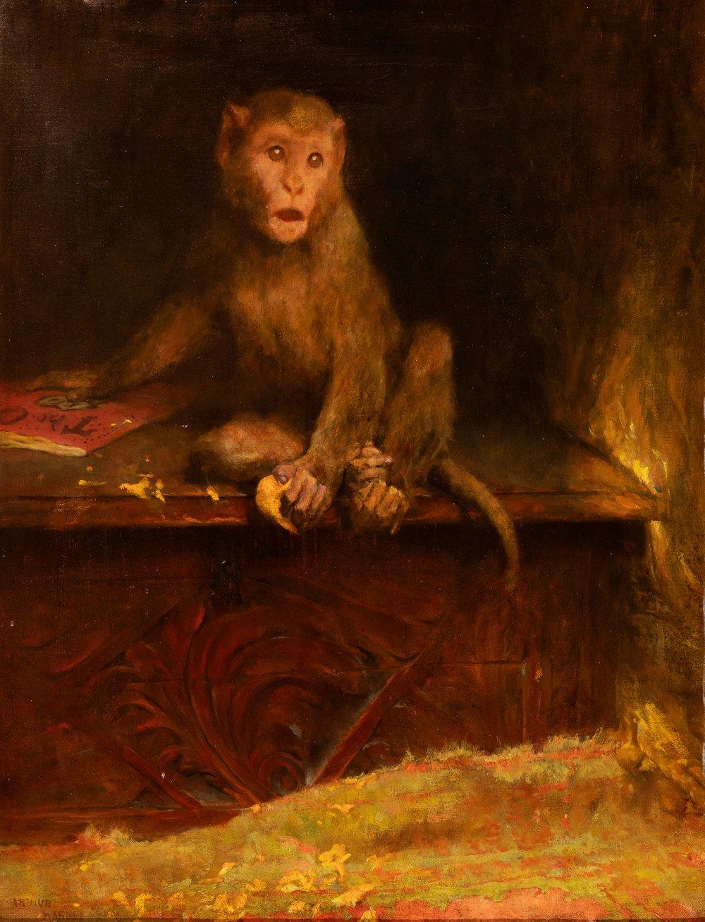 Arthur Wardle comparable auction result: arthur wardle england 1864 1949 monkey holding a book oil on canvas signed on the lower left