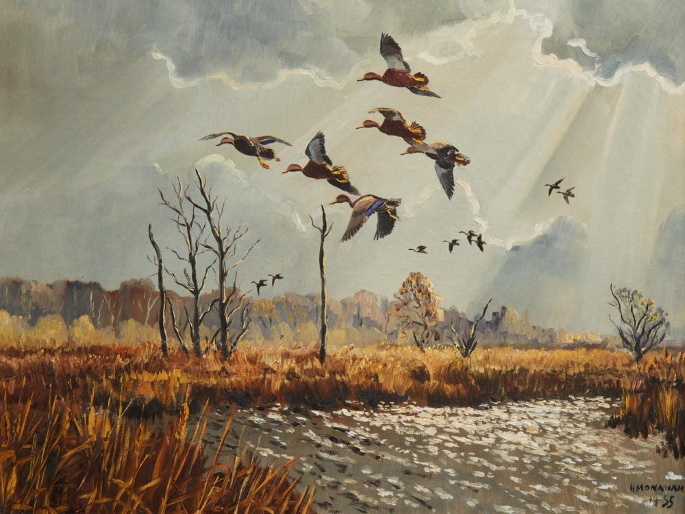 Hugh Monahan comparable auction result: hugh cecil charles monahan canadian 1914 1970 mallards in flight 1955 oil on canvas 18 x 24in 46 x 61cm