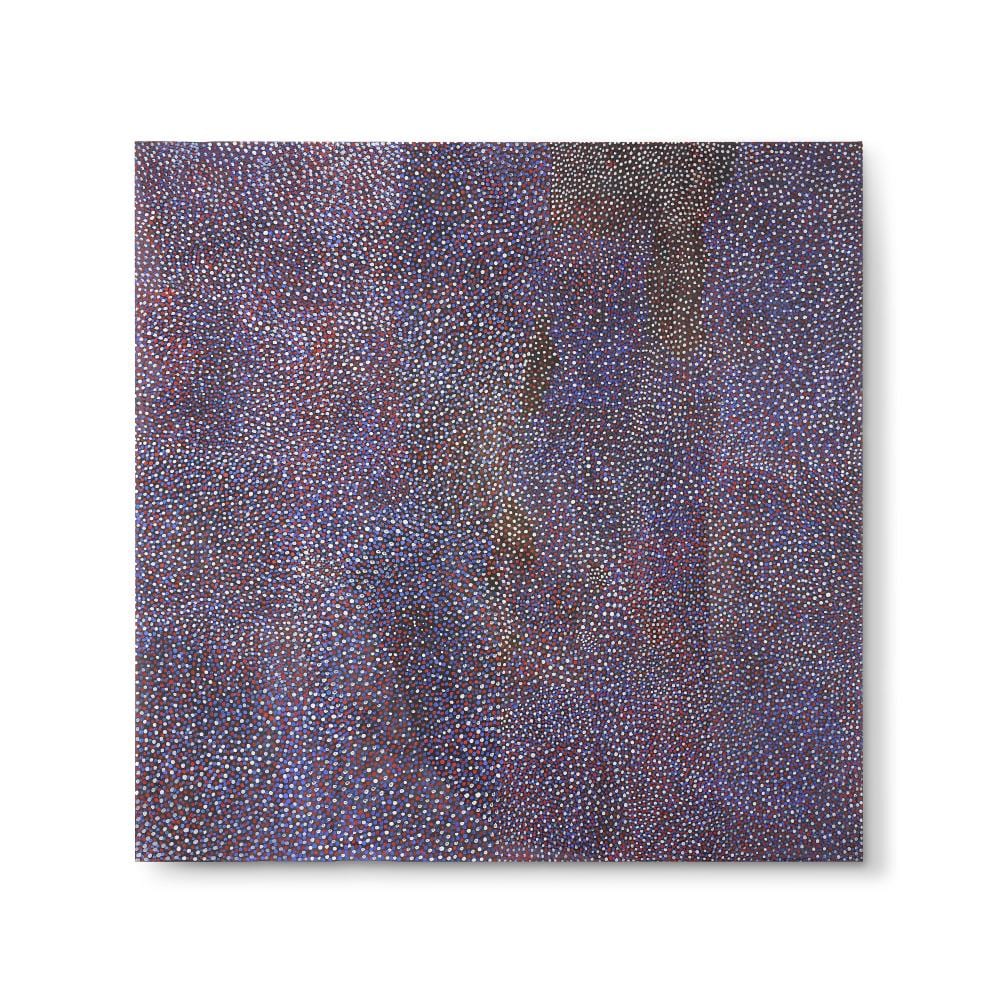 Angelina Ngale Pwerle comparable auction result: angelina ngale pwerle born 1952 bush plum 1996