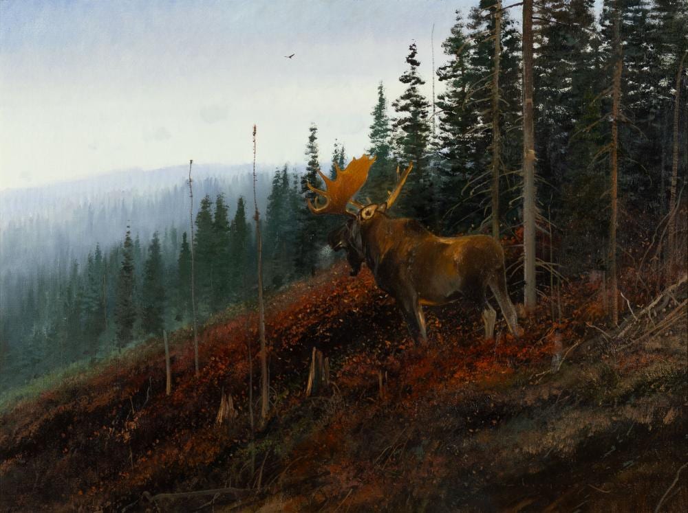 Nicholas Coleman comparable auction result: nicholas coleman 1978 in his prime