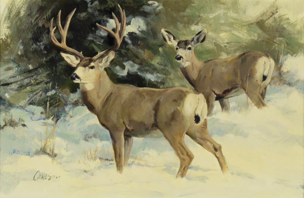 Ken Carlson comparable auction result: ken carlson 1937 winter pair mule deer