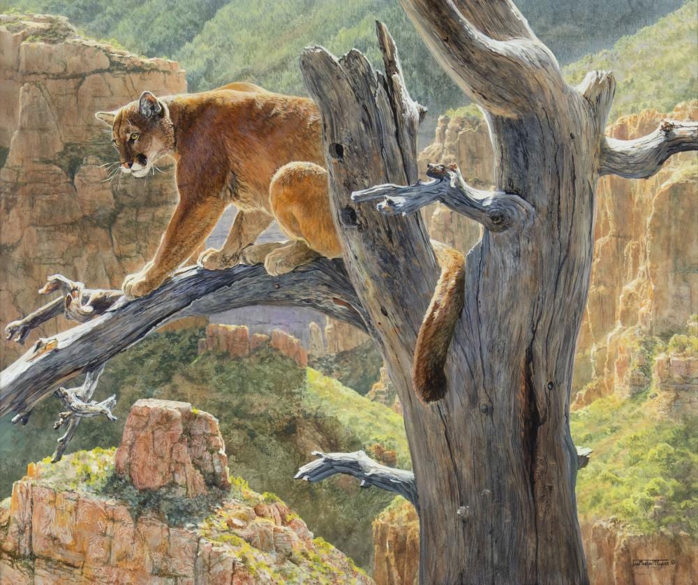 Jan Martin McGuire comparable auction result: jan martin mcguire 1955 red rock realm