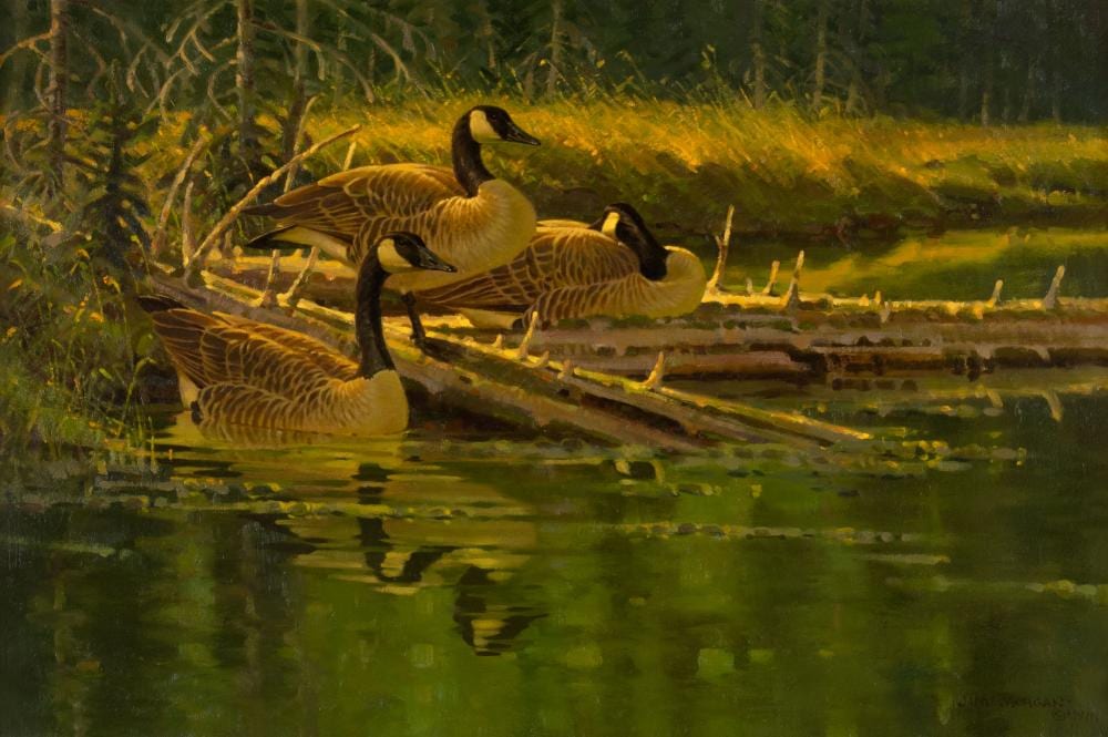 Jim Morgan comparable auction result: jim morgan 1947 along the firehole 1991