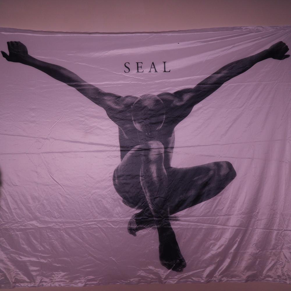 Nick Knight comparable auction result: seal monumental fabric banner of the soul legend by nick knight
