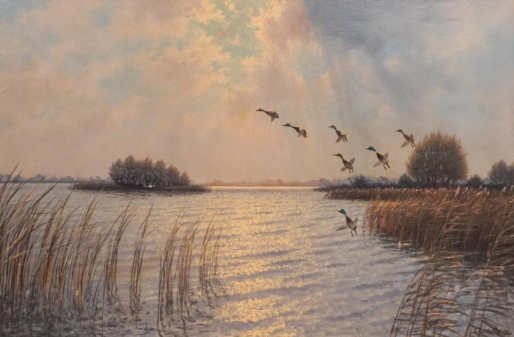 Jacobus Leonardus van der Meide comparable auction result: jacobus leonardus van der meide dutch 1910 2003 ducks in flight oil on canvas signed l r frame 33 1 2 x 45 1 4 in 85 1 x 114 9 cm