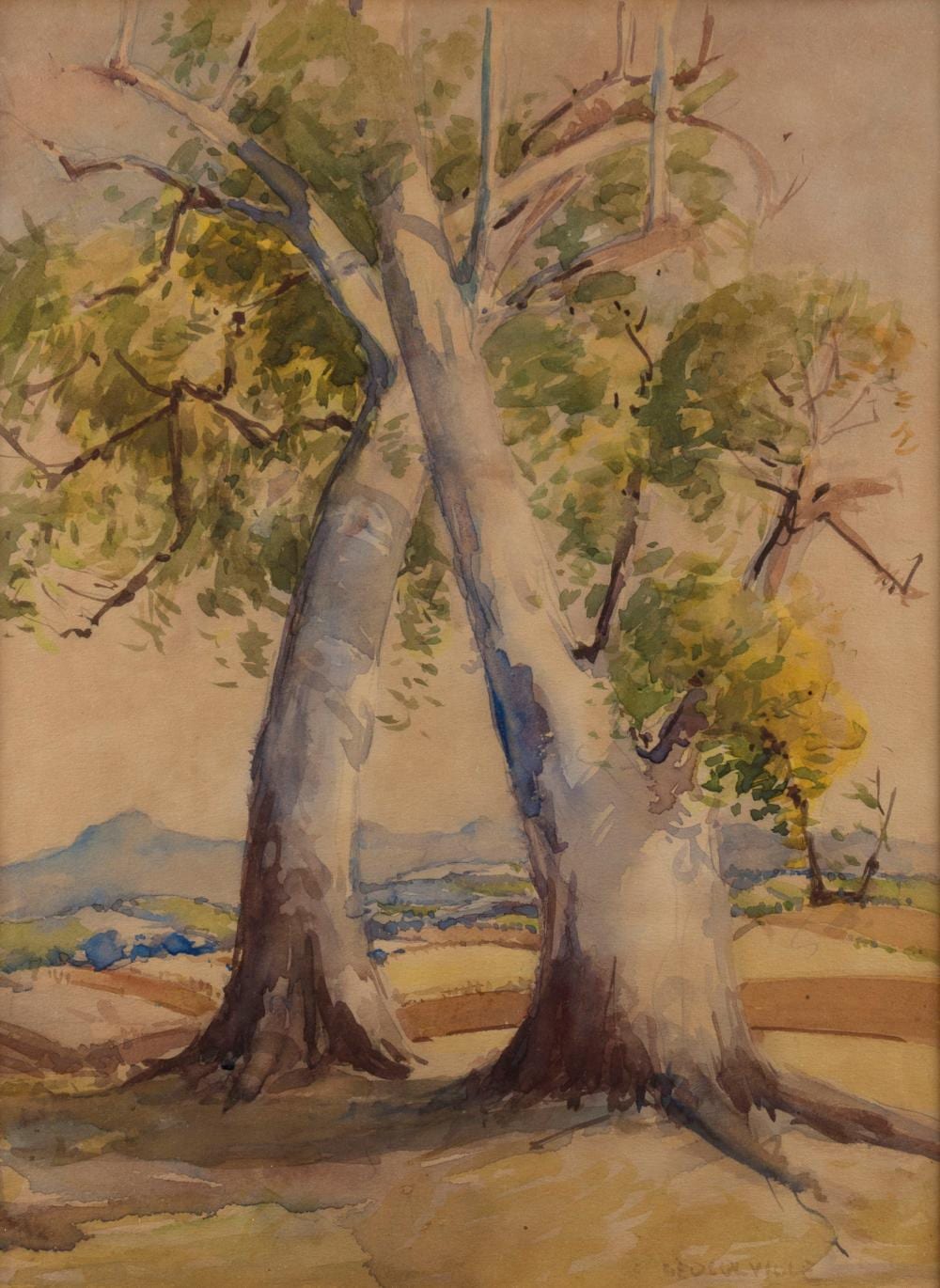 George Colville comparable auction result: george colville 1887 1970 gumtrees in landscape watercolour signed lower right geo colville 39 x 30cm 64 x 51cm overall