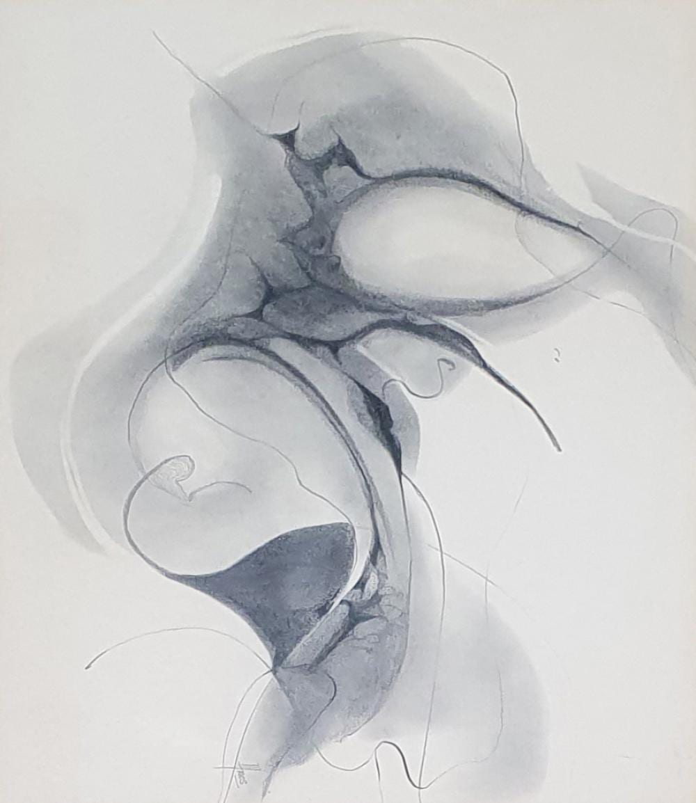 Irene Amos comparable auction result: irene amos 1927 2012 still life pencil on paper signed lower centre right 36 x 48 cm framed 58 x 67 cm artist label verso