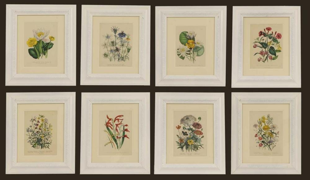 Jane Webb Loudon comparable auction result: jane webb loudon 1807 1858