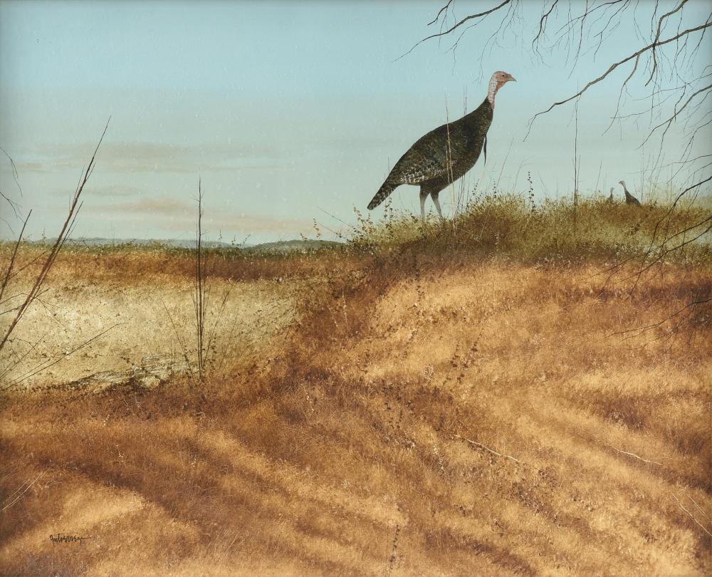 Raul Gutierrez comparable auction result: raul gutierrez american texas b 1935 wild turkeys 20th century 24 x 30 in 61 x 76 2 cm frame 32 1 4 x 38 1 4 in 81 9 x 97 2 cm