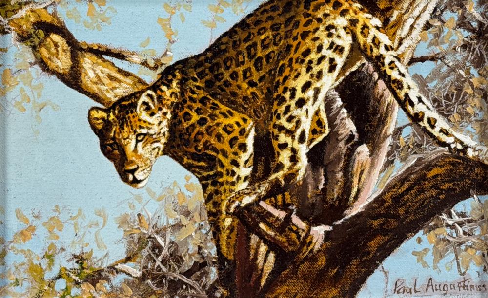 Paul Augustinus comparable auction result: paul augustinus danish botswana born 1952