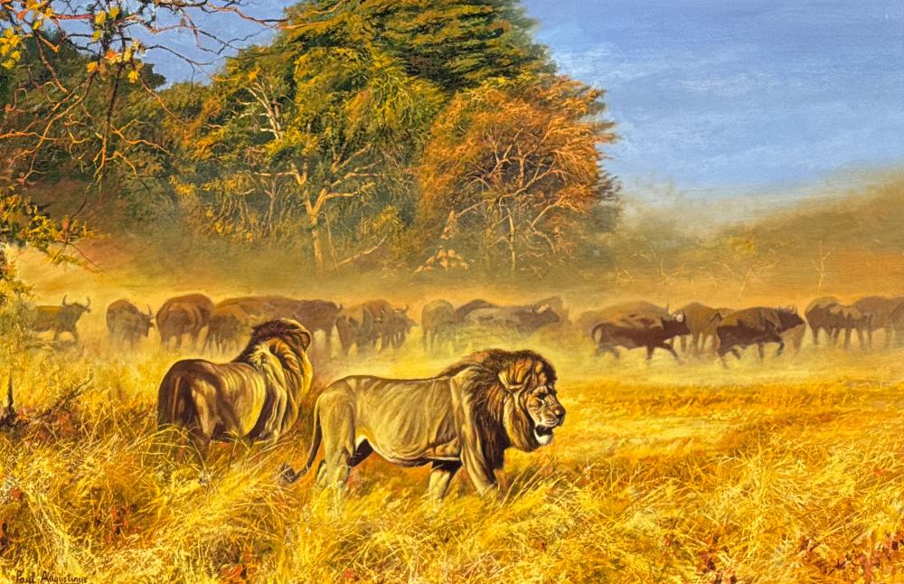 Paul Augustinus comparable auction result: paul augustinus danish botswana born 1952
