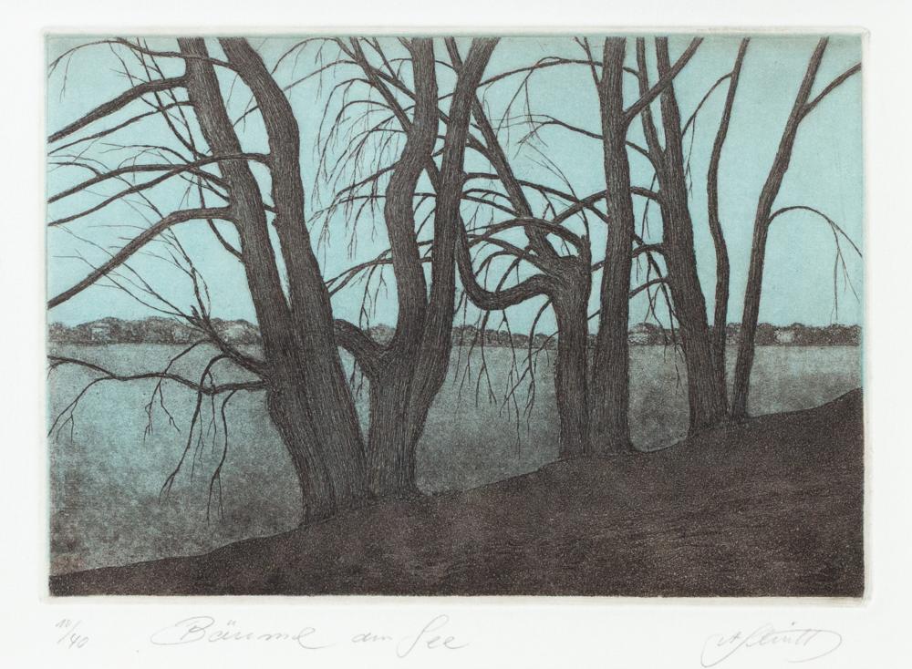 Alfred (1867) Schmidt comparable auction result: alfred schmidt 1942 potsdam lebt in berlin