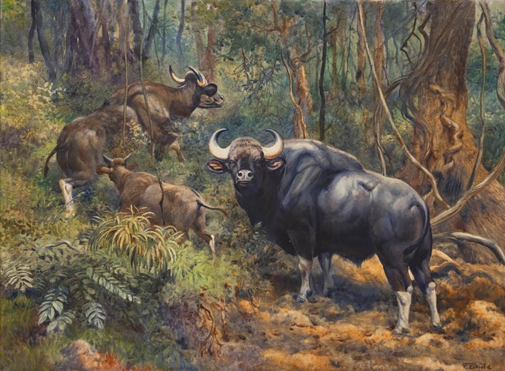 Fritz Laube comparable auction result: fritz laube