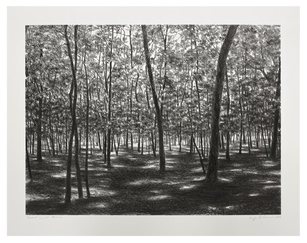 April Gornik comparable auction result: april gornik forest light lithograph