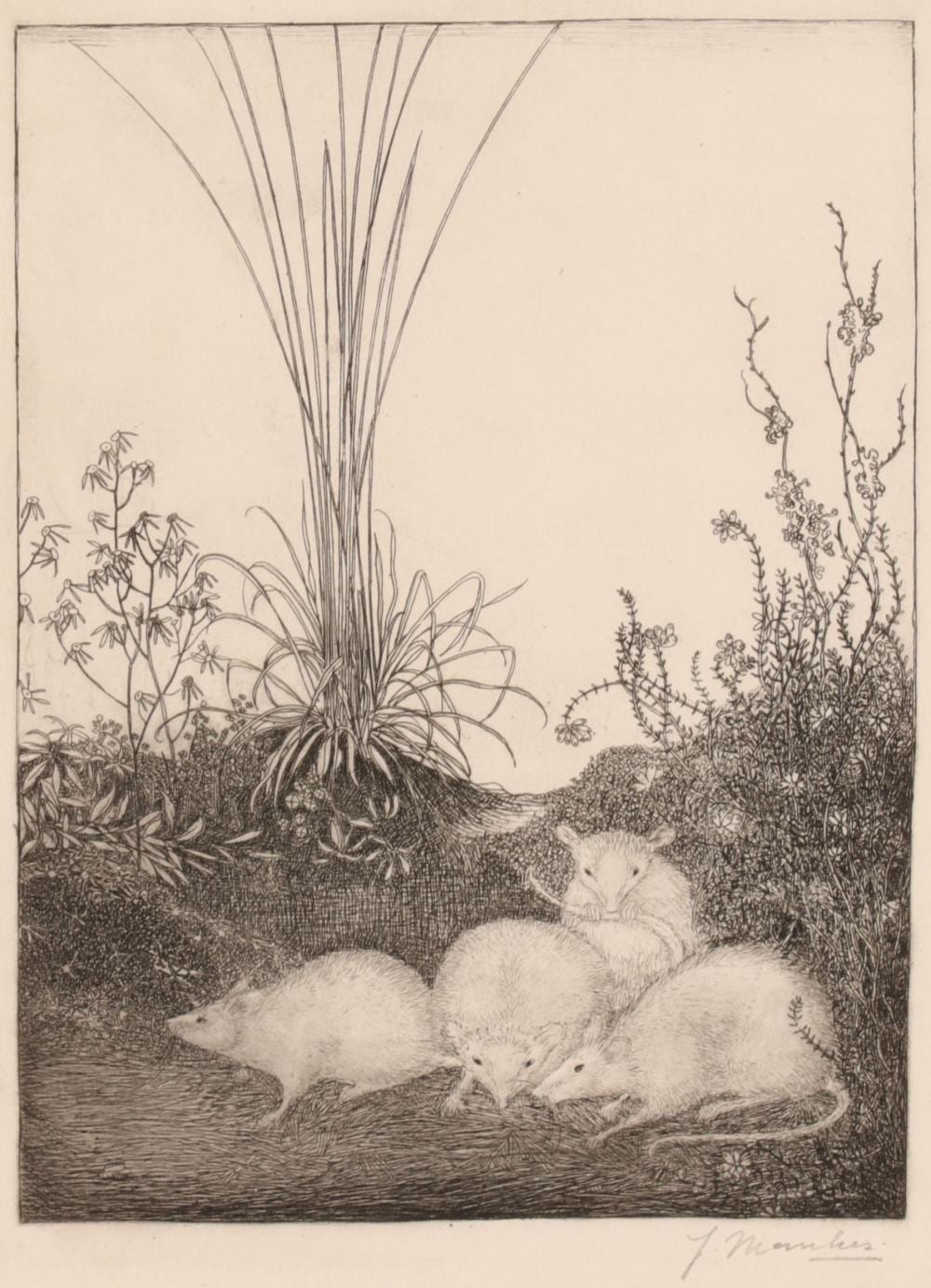 Jan Mankes comparable auction result: jan mankes 1889 1920