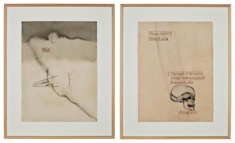 Atul Dodiya comparable auction result: atul dodiya b 1959 nut homo sapiens from india watercolor on paper30
