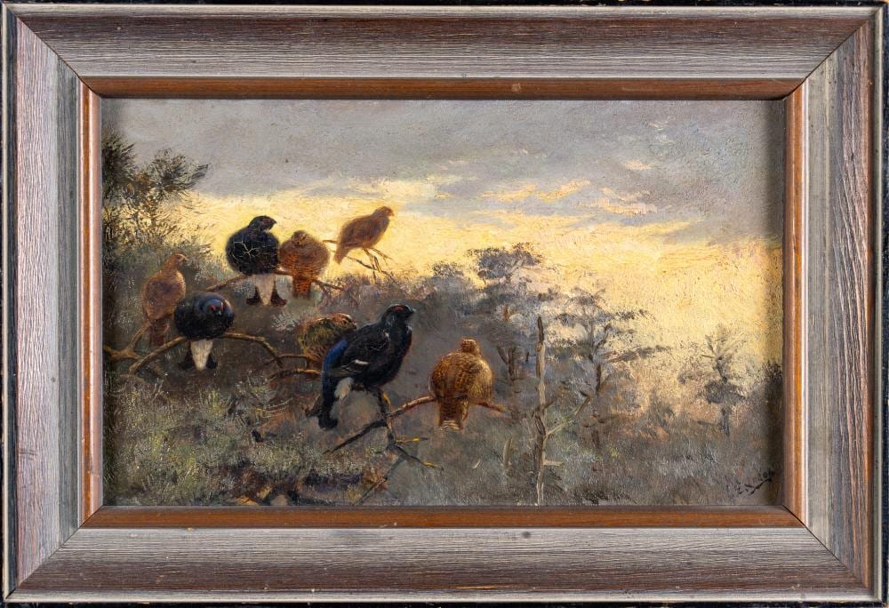 George Edward Lodge comparable auction result: george edward lodge british 1860 1954 blackgame perched on branches