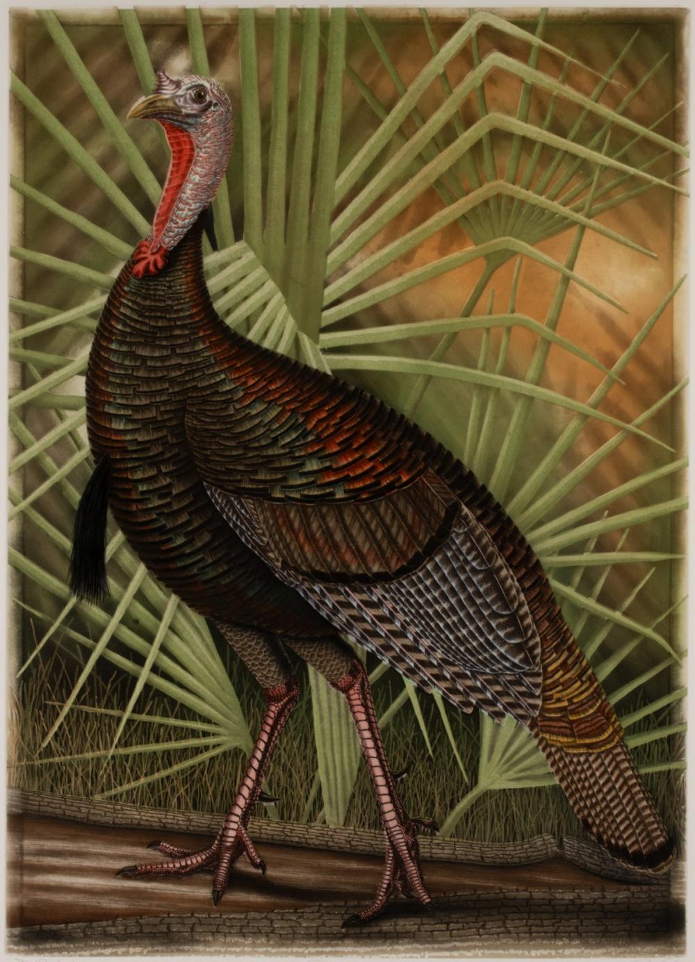 John Costin comparable auction result: john costin born 1956 artist proof etching with color
