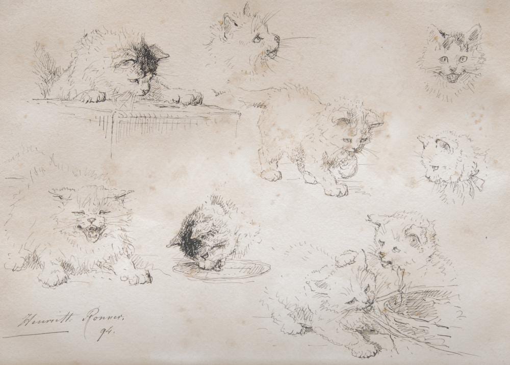 Henriette Ronner comparable auction result: henriette ronner 1821 1909 study of cats 1894 pen sketch on paper 25 x 34 cm 9 8 x 13 3 in frame 39 x 48 cm 15 3 x 18 9 in