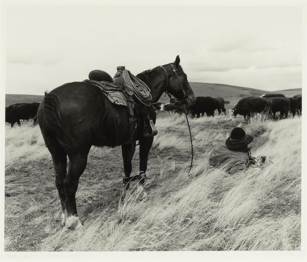 kurt markus big springs ranch bruneau idaho 1982 · Santa Fe Art Auction · 2025-09-18 Kurt Markus comparable auction result: kurt markus big springs ranch bruneau idaho 1982