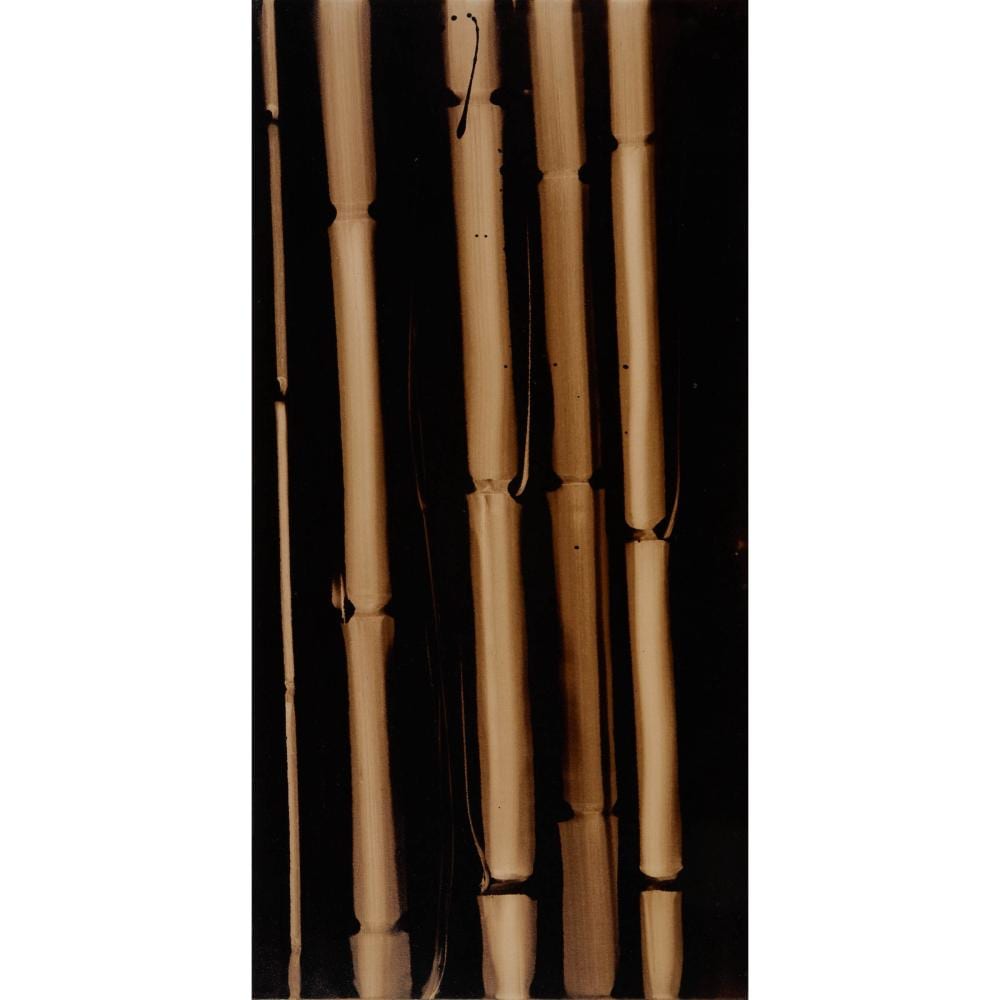 Attila Richard Lukacs comparable auction result: attila richard lukacs b 1962 bamboo series ii 2006