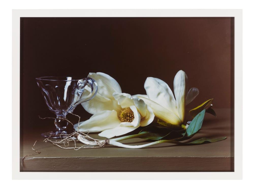 Sharon Core comparable auction result: sharon core b 1965 magnolia with wild leeks 2008 signed in ink credi