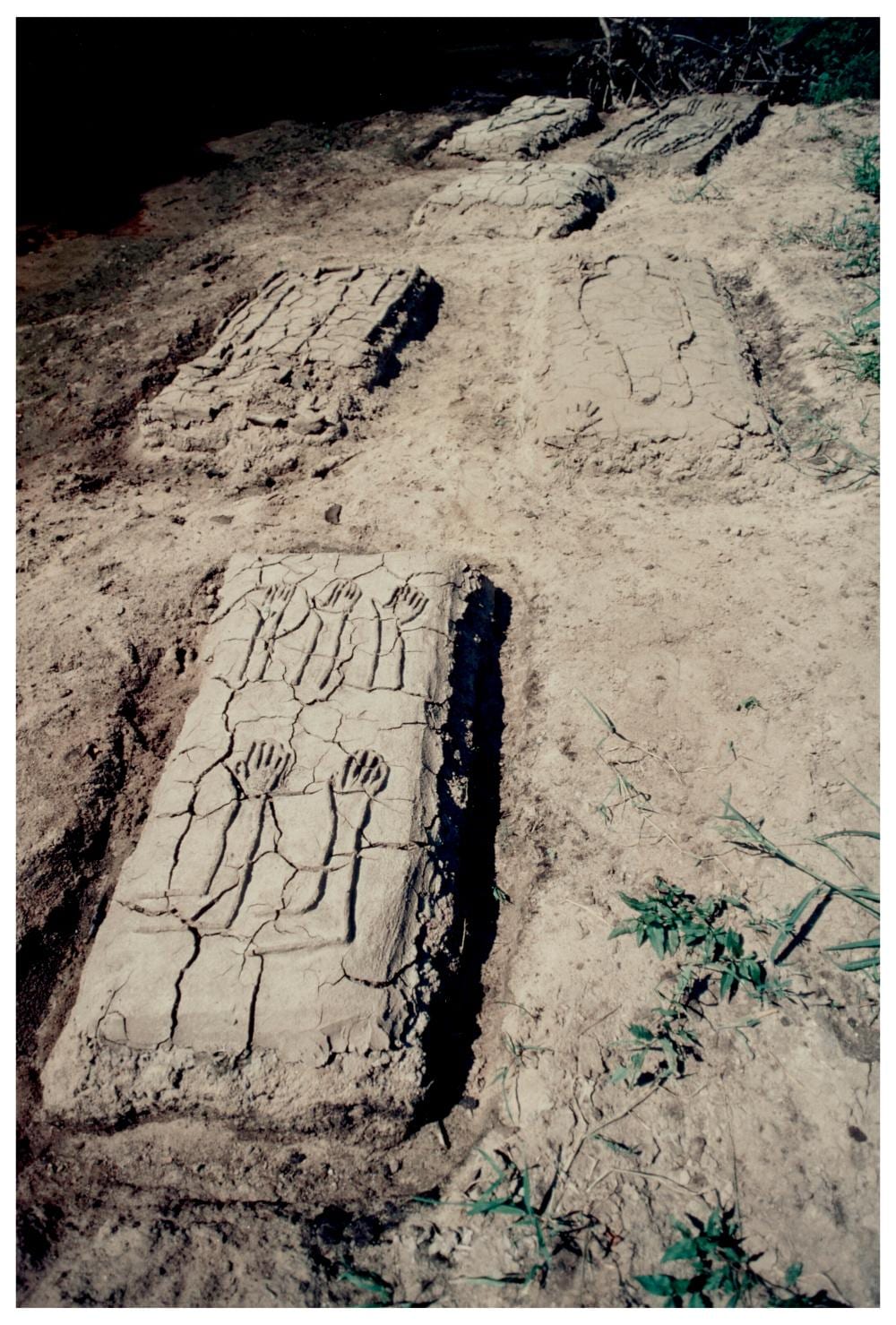 Ana Mendieta comparable auction result: ana mendieta 1948 1985 untitled silueta series mexico chromogenic pr