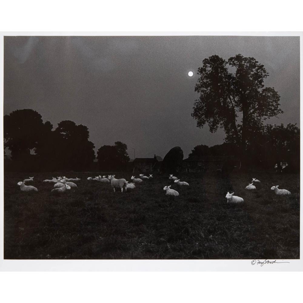 Fay Godwin comparable auction result: fay godwin 1931 2005 ridgeway avebury moonlight