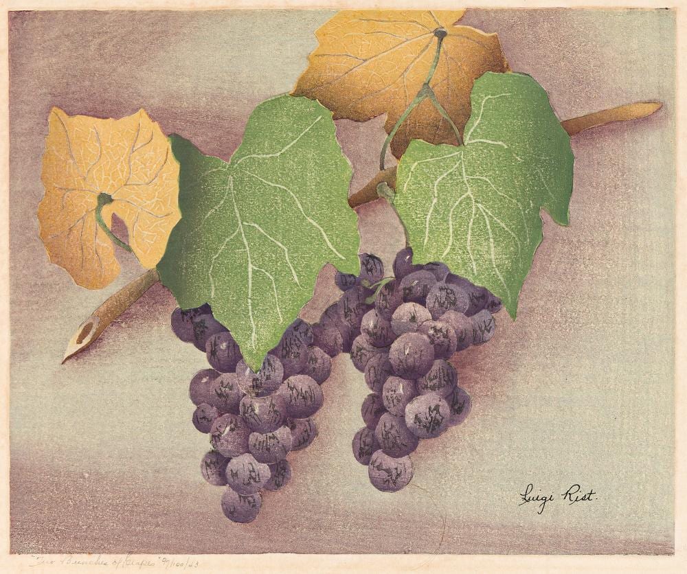 Luigi Rist comparable auction result: luigi rist 1888 1959 two bunches of grapes 1943