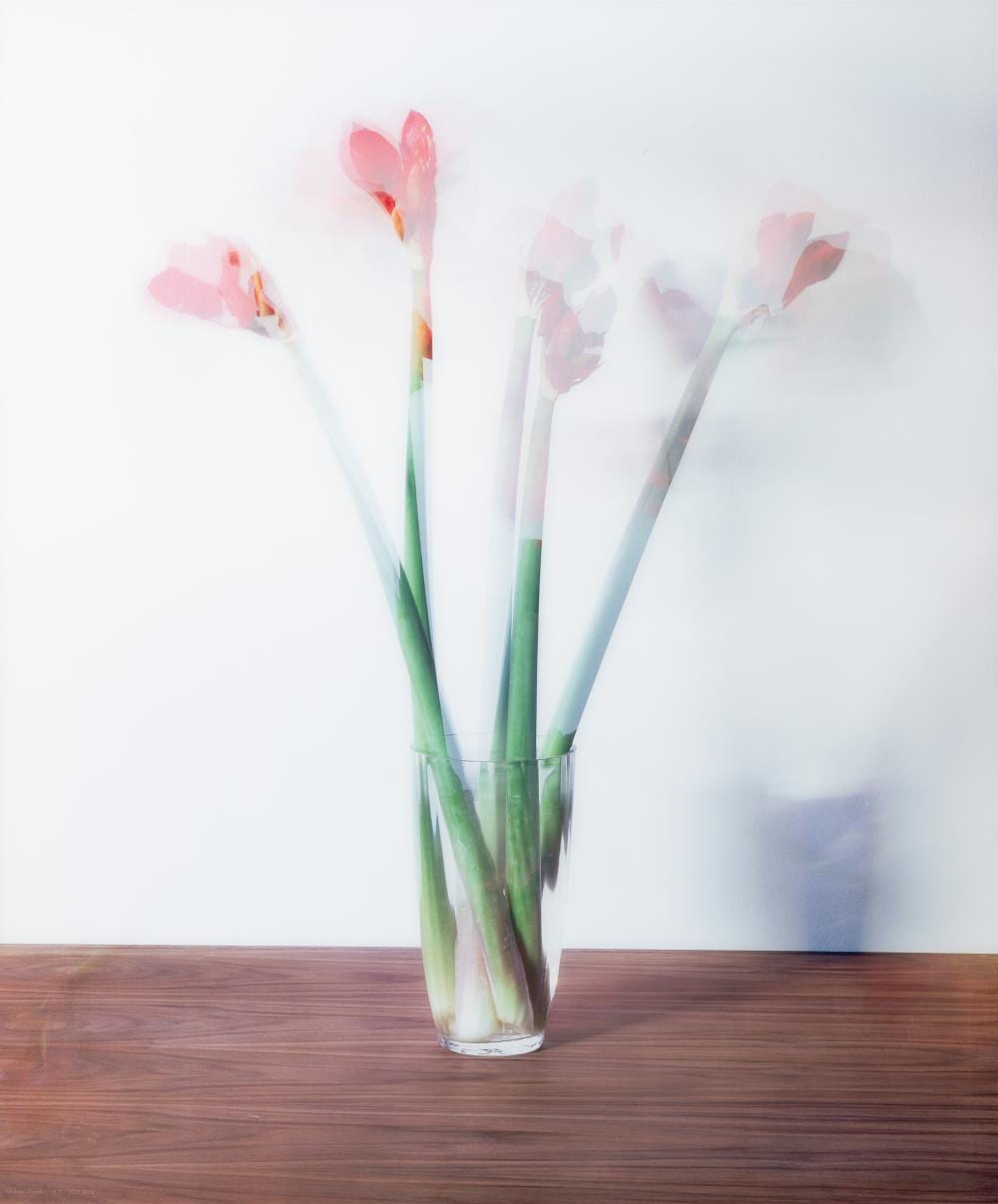 Michael Wesely comparable auction result: michael wesely 1963 m nchen stillleben 16 1 27 11 2006