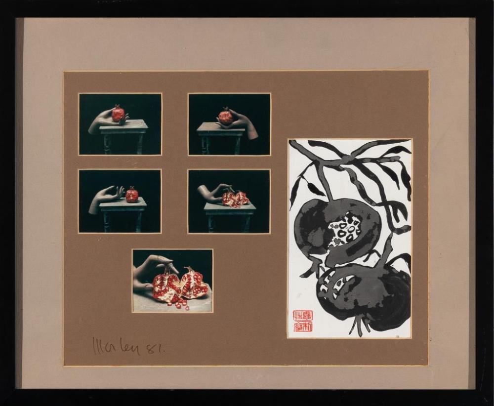 Lewis Morley comparable auction result: lewis morley australian 1925 2013 untitled pomegranate study mixed media ink on paper and photographic print frame 44 5 x 54cm