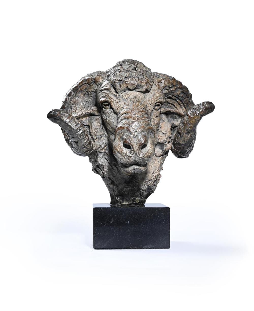 Hamish Mackie comparable auction result: hamish mackie british b 1973 merino ram head
